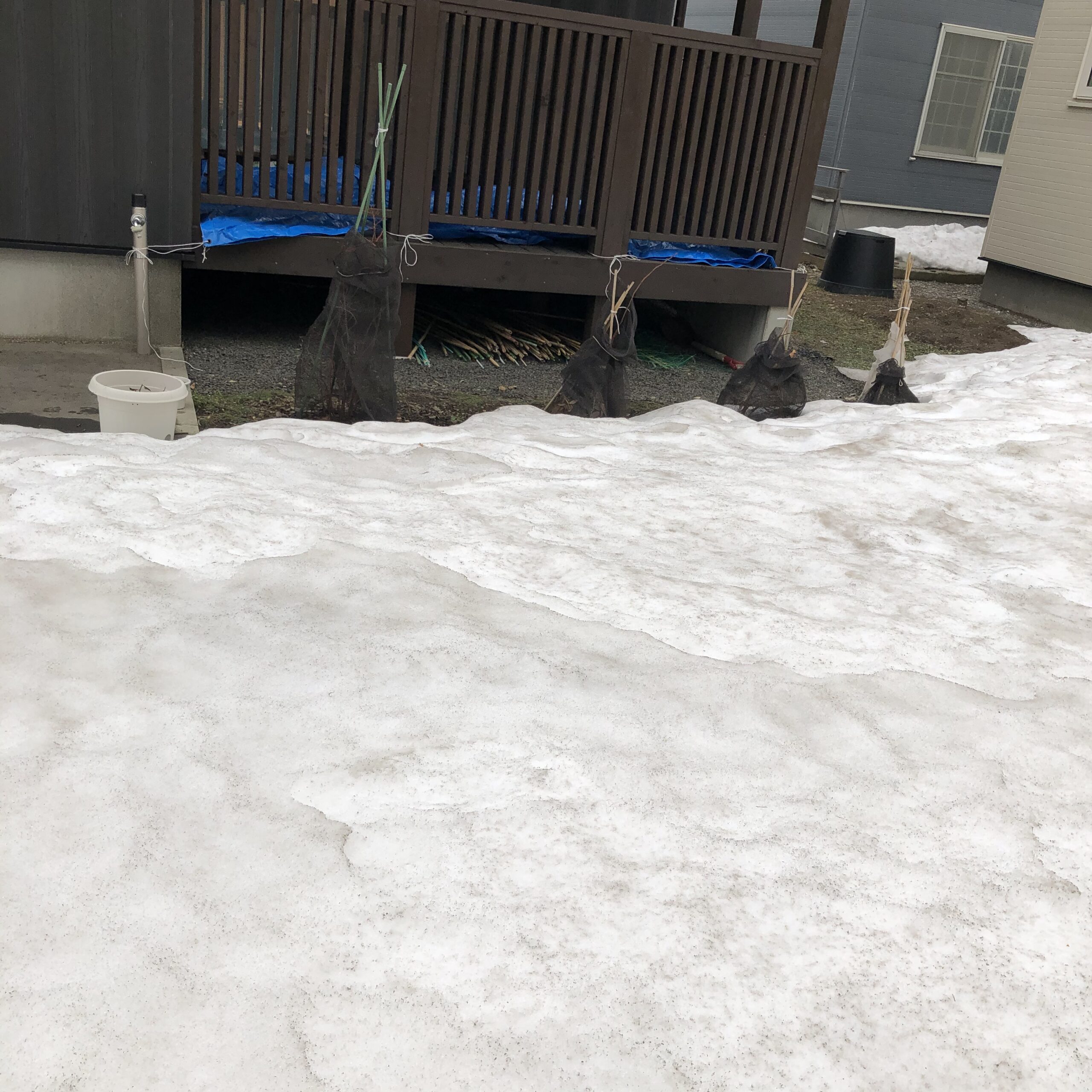 北海道、3月末の庭、雪の様子