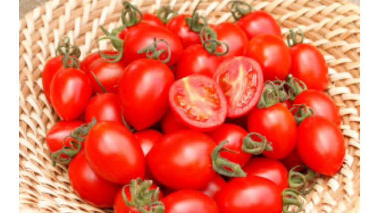 ミニトマトの甘い品種23選！家庭で栽培できるおすすめの品種 | たんぽぽ母ちゃんのブログ
