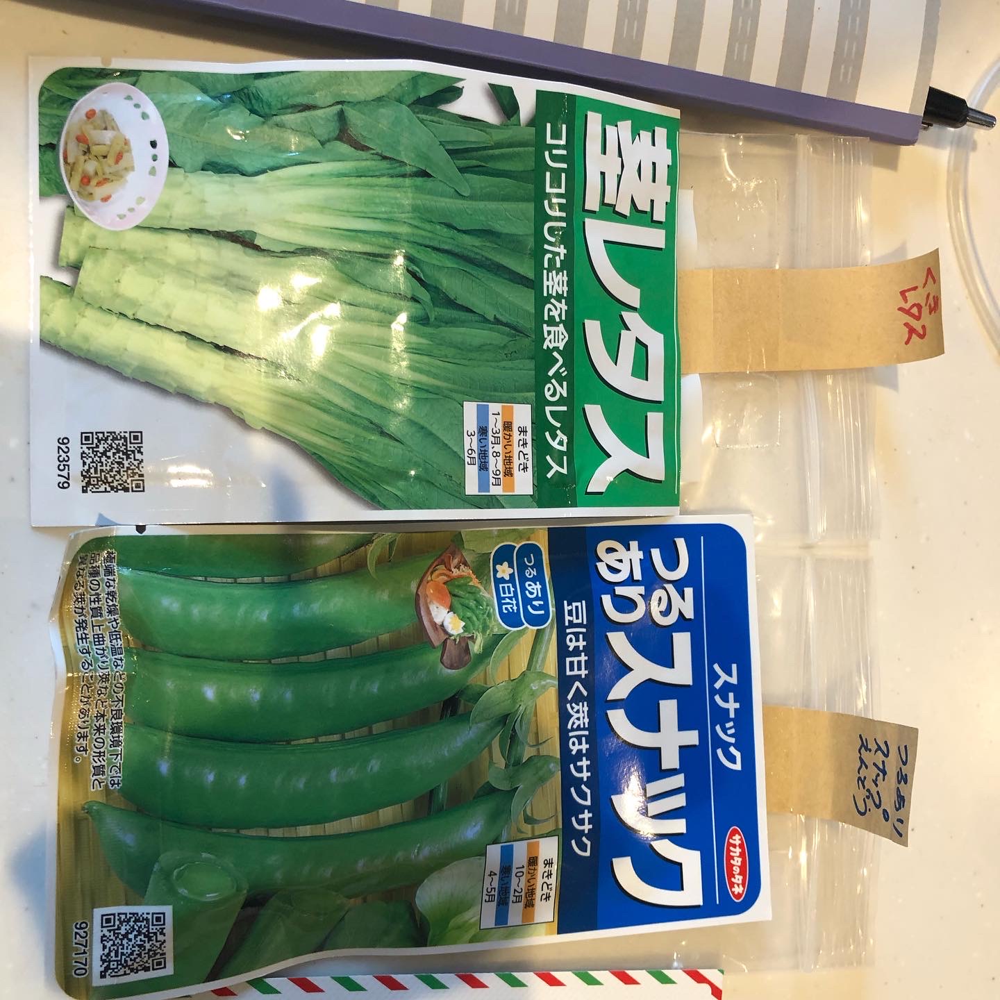 北海道の春野菜